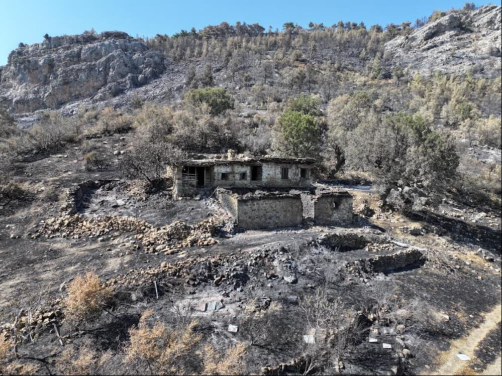 Kahreden görüntü! 15 bin dönüm alan griye döndü - 1. Resim