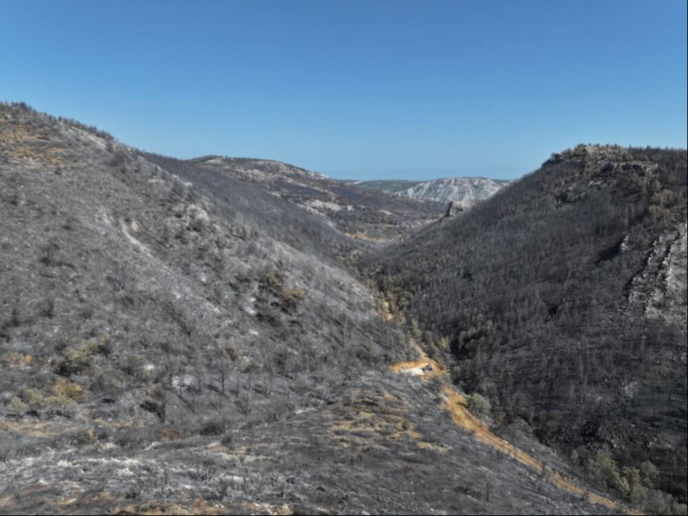 Kahreden görüntü! 15 bin dönüm alan griye döndü - 2. Resim