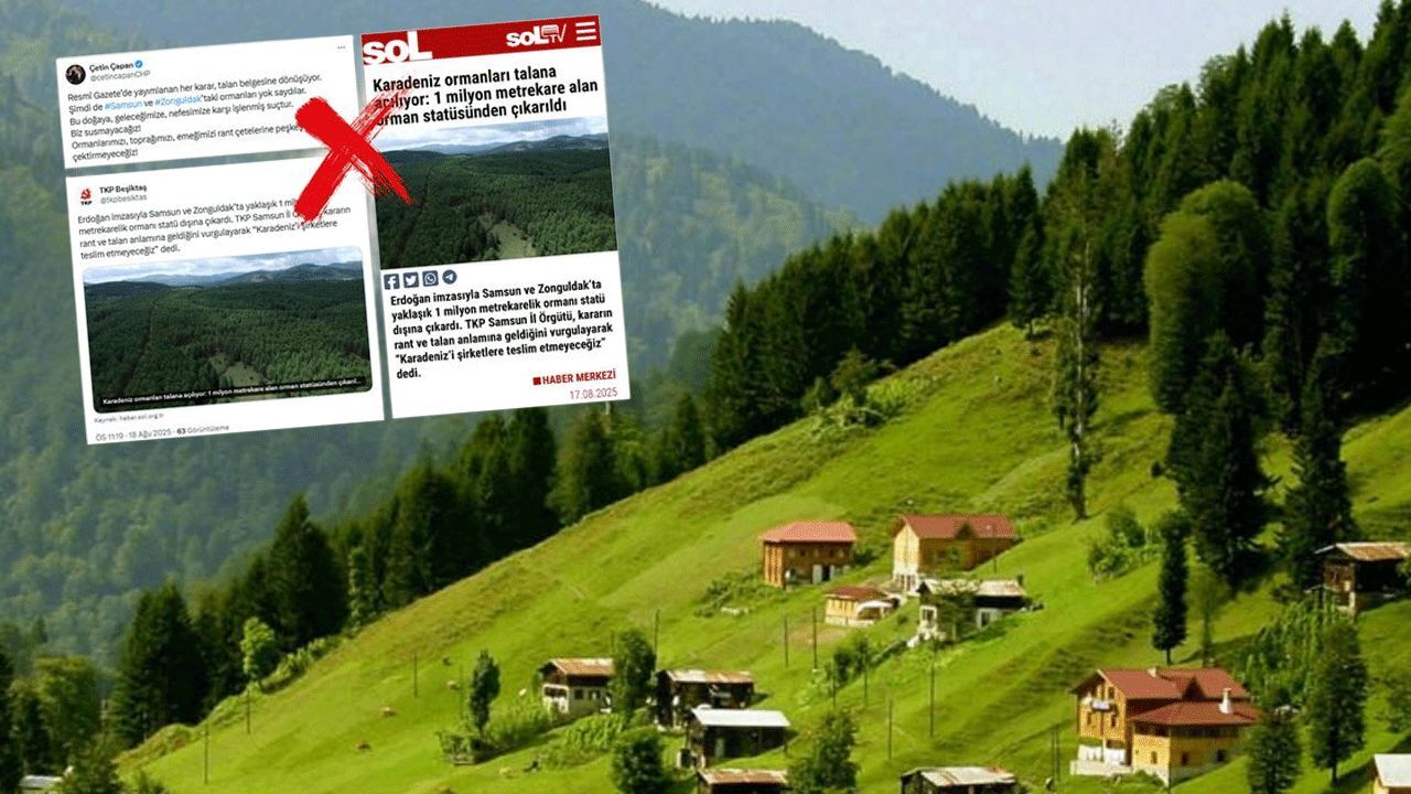 Karadeniz ormanları talan mı edilecek! DMM'den iddialara cevap geldi Karadeniz ormanları talan mı edilecek! DMM'den iddialara cevap geldi