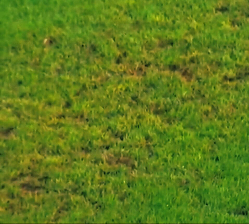 Kulüpler bu kararı bekliyordu! TFF'den