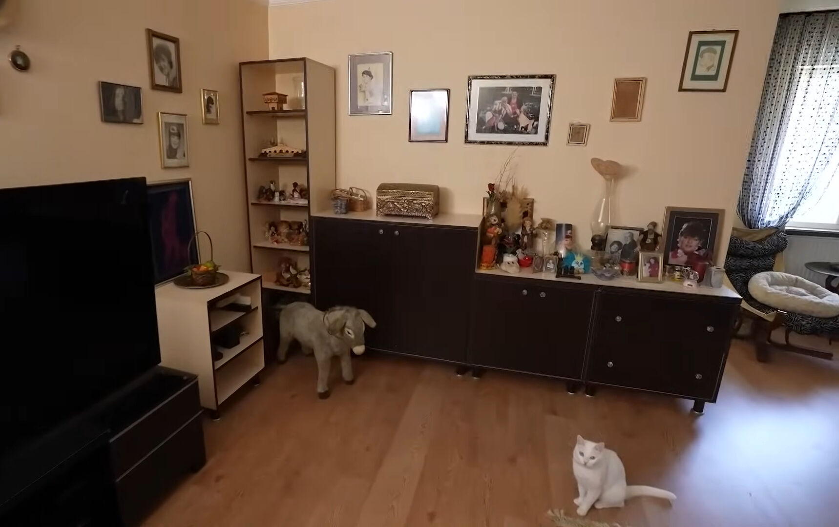 Oyuncu Defne Yalnız’ın mütevazı evinden ilk görüntüler! Yıllar sonra ortaya çıktı: 