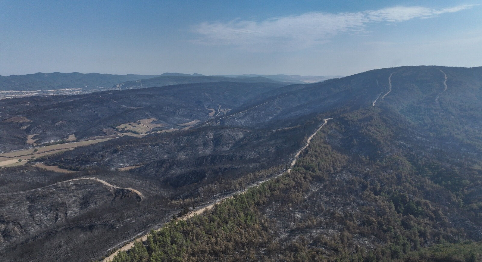 Tarla ve ormanların arasına bariyer şart! Sürücülerin ihmali tehlike saçıyor - 1. Resim