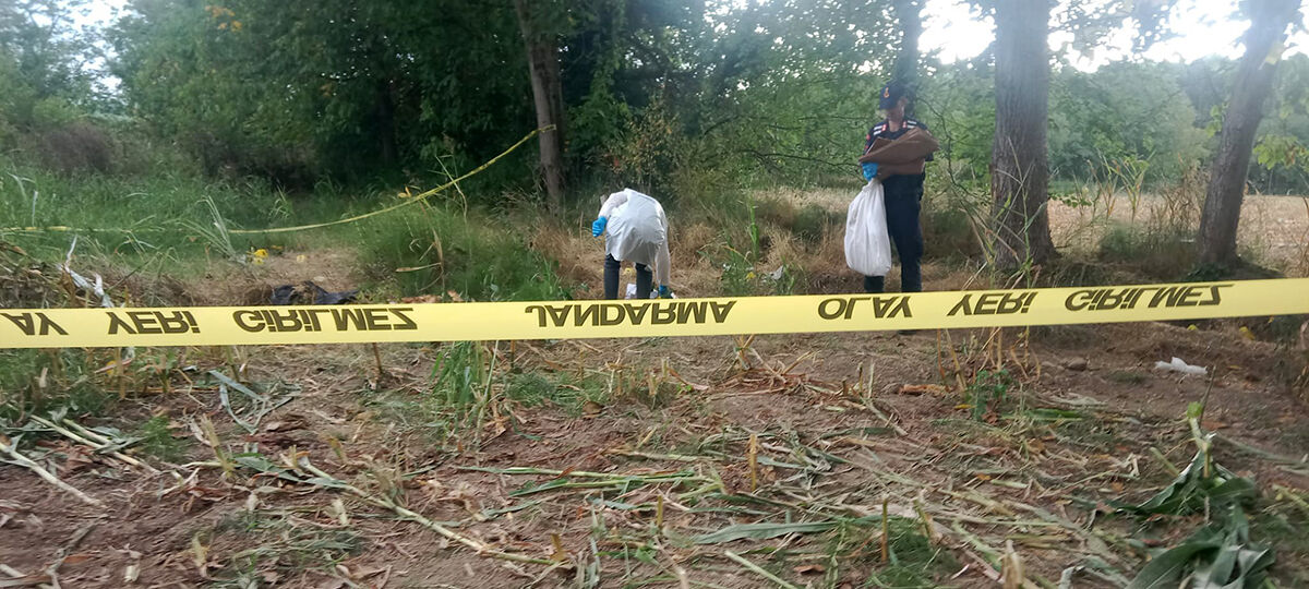 Tarladan çıkan kafatası ve kemikler çiftçiyi şoka uğrattı! Düzce'deki esrarengiz olayın sırrı çözüldü - 4. Resim