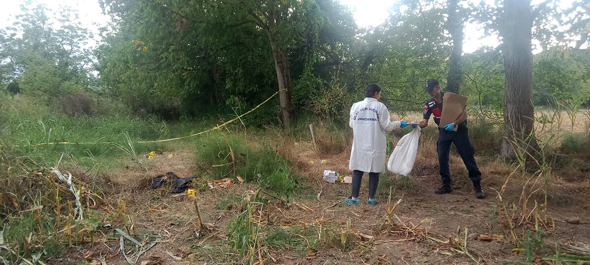 Tarladan çıkan kafatası ve kemikler çiftçiyi şoka uğrattı! Düzce'deki esrarengiz olayın sırrı çözüldü - 5. Resim