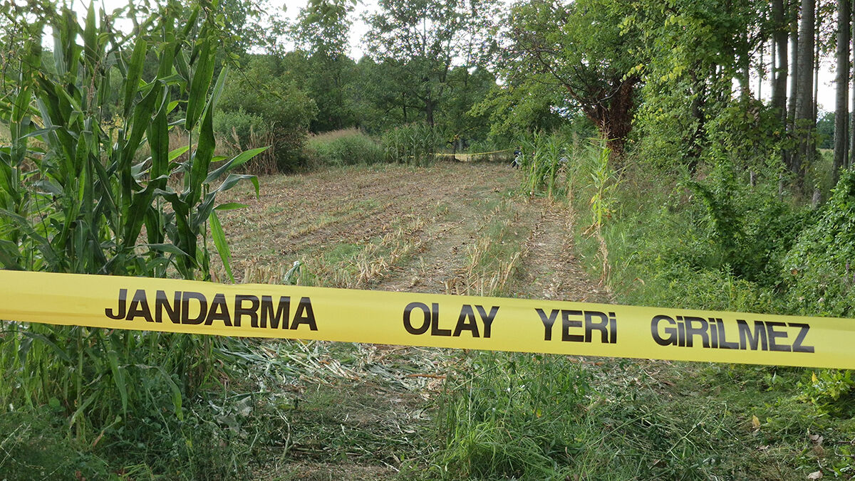 Tarladan çıkan kafatası ve kemikler çiftçiyi şoka uğrattı! Düzce'deki esrarengiz olayın sırrı çözüldü - 2. Resim