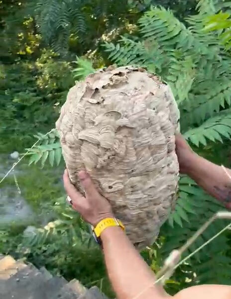 Uzun süredir kullanılmıyordu! İçeri giren mahalle sakinleri tavana asılı halde buldu - 2. Resim