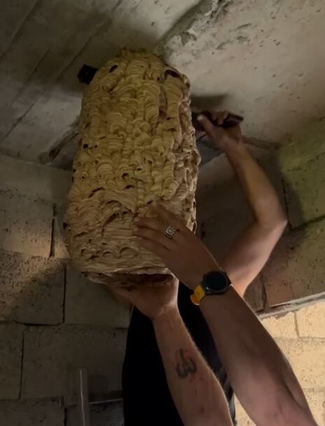 Uzun süredir kullanılmıyordu! İçeri giren mahalle sakinleri tavana asılı halde buldu - 1. Resim