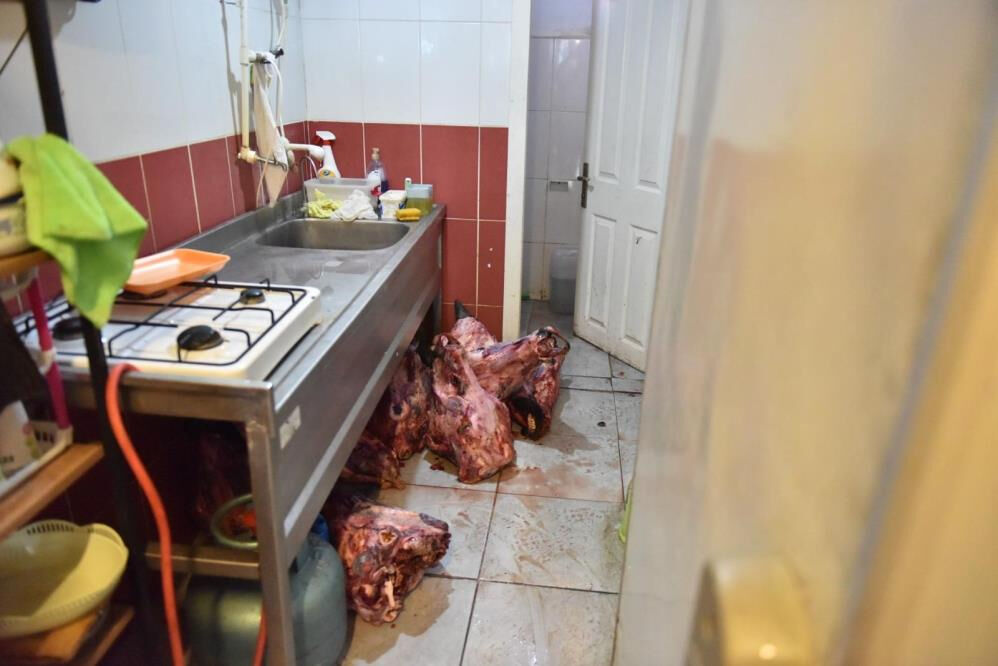 Yumurtadan hamam böceği yavruları çıktı! Markete yapılan denetimde ortaya çıkanlar şoke etti - 1. Resim