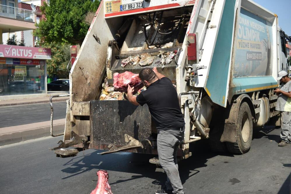 Yumurtadan hamam böceği yavruları çıktı! Markete yapılan denetimde ortaya çıkanlar şoke etti - 2. Resim