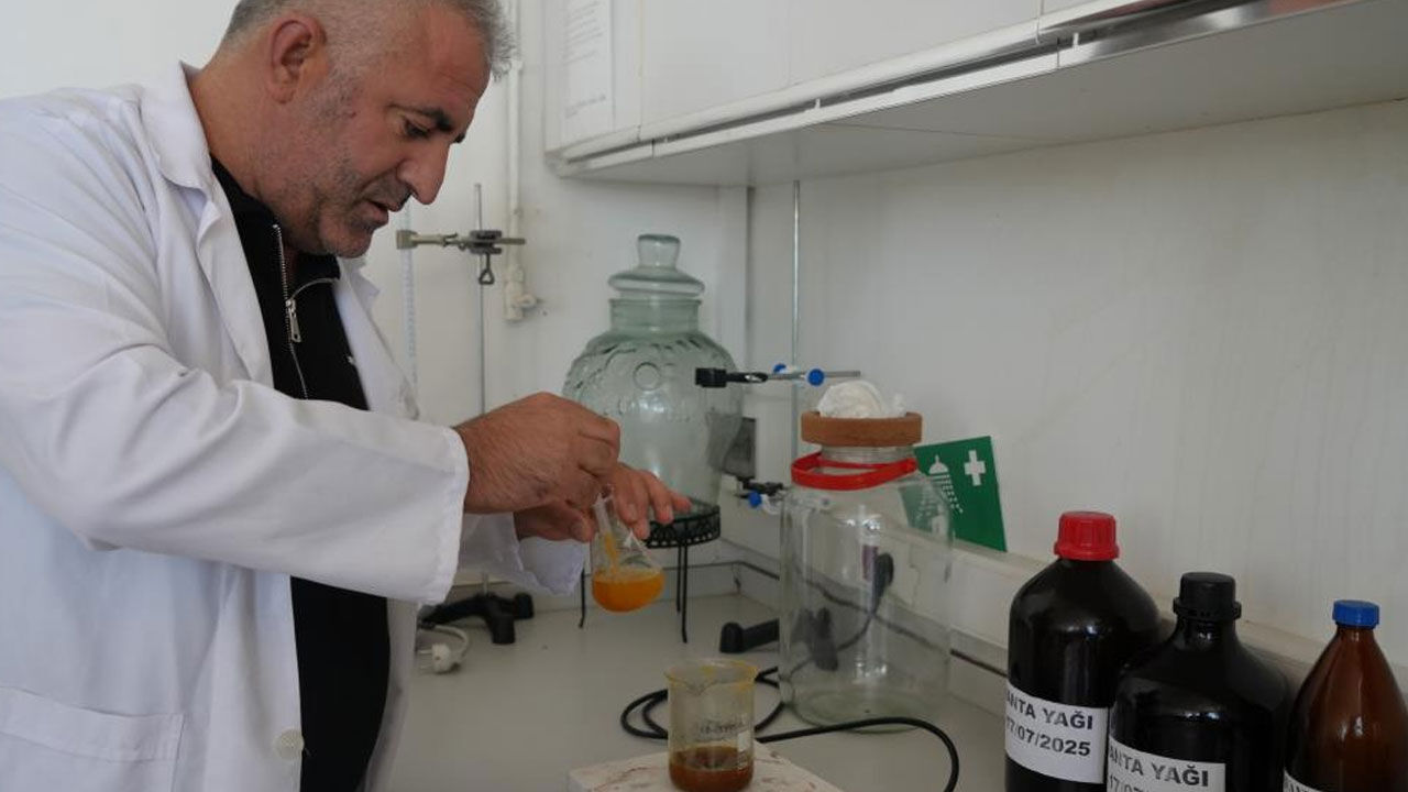 Ağrı Dağı eteklerinden gelen şifa: Cilt kanserine bağlı lekelerde bile etkili - 2. Resim