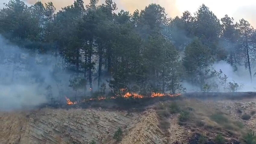 Bolu Mengen alevlere teslim oldu! Ekipler güçlükle müdahale ediyor - 1. Resim