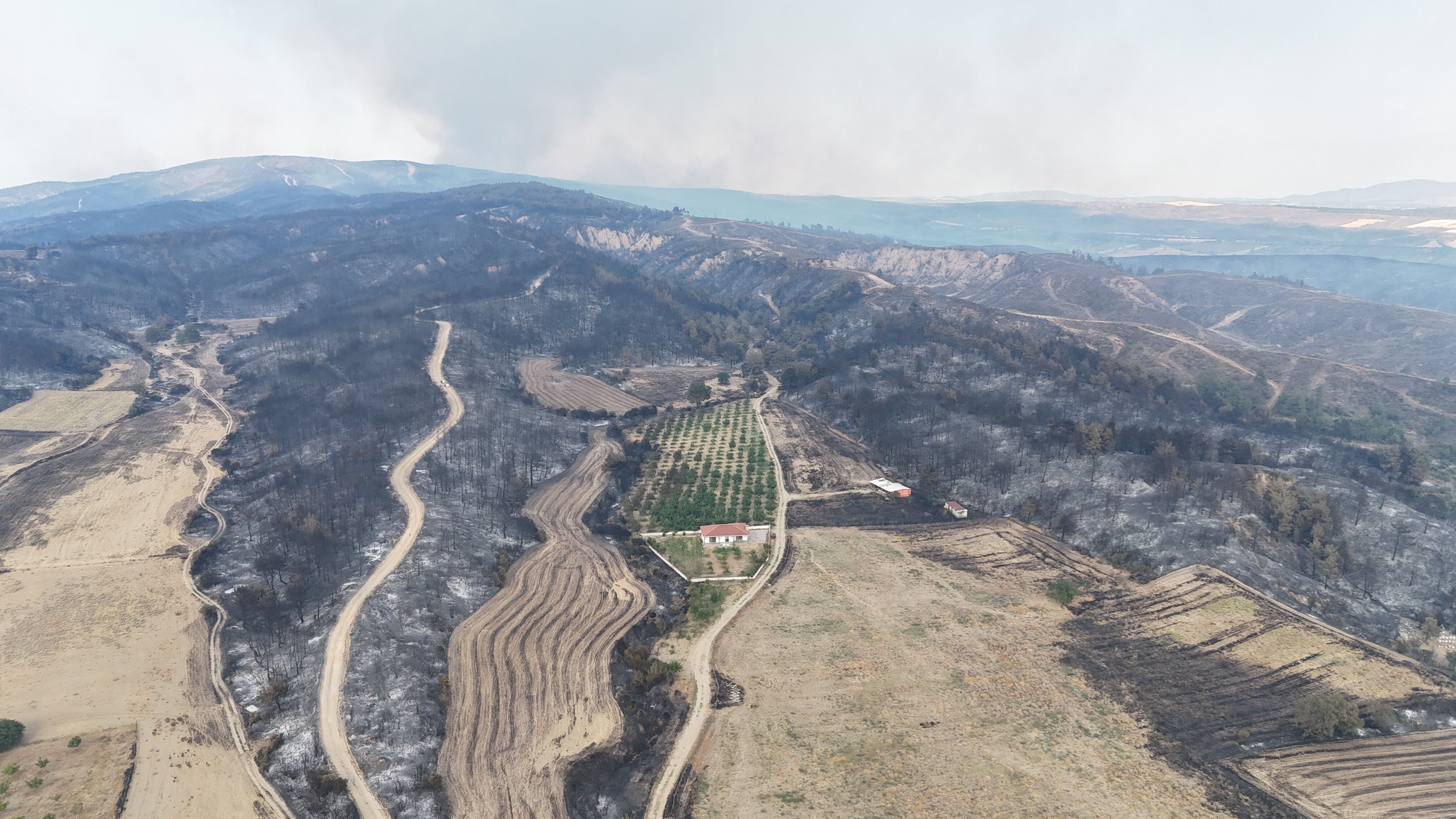 Etrafı küle döndü, sadece orası yeşil kaldı: Gelibolu bu ceviz bahçesini konuşuyor - 3. Resim