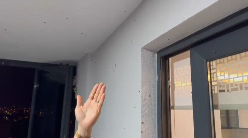 Gündüz görünmüyor, gece istila ediyor: Rizelilerin kabusu oldular! Sabaha kadar temizlik nöbeti - 2. Resim