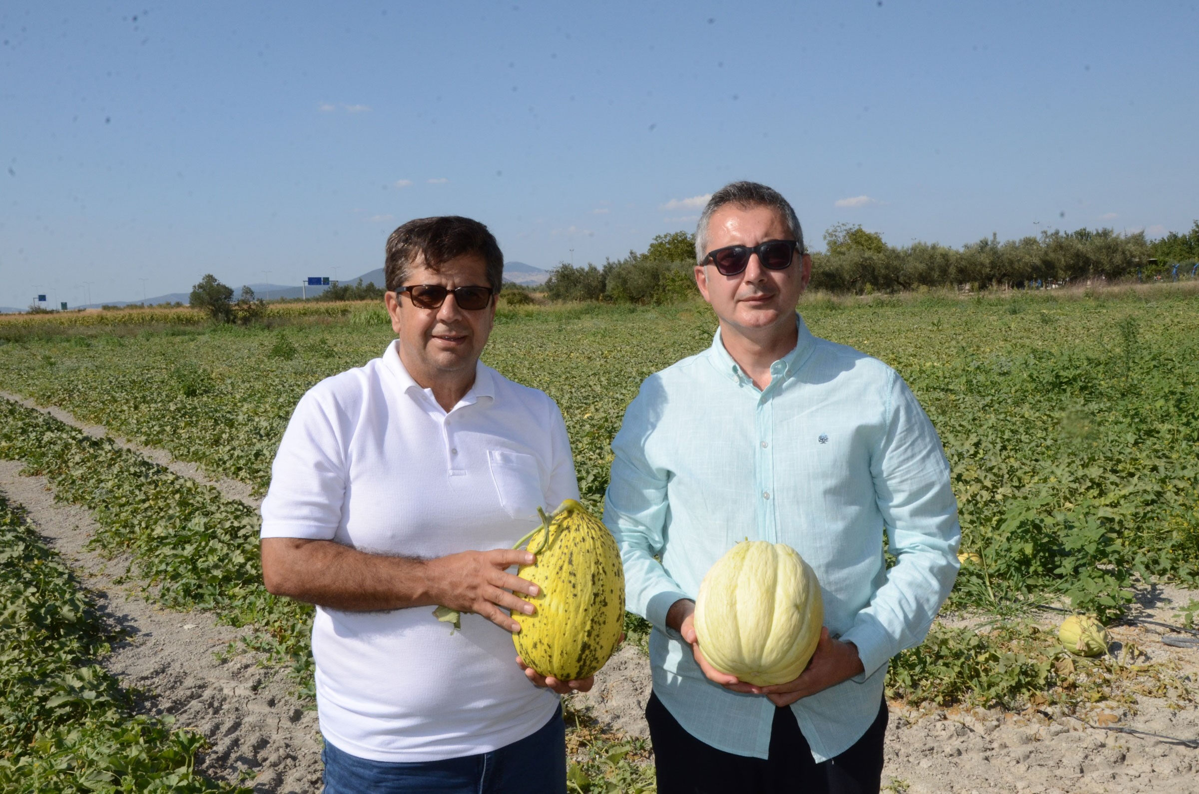 Türkiye'nin coğrafi işaret tescilli 38. ürünü! Hasat başladı, 30 bin ton rekolte bekleniyor - 2. Resim