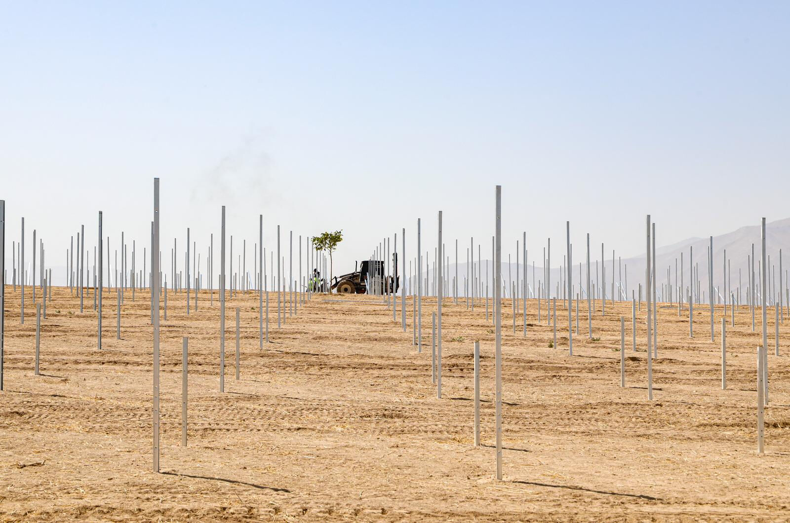 Van'a kurulacak dev güneş enerjisi santrali adeta para basacak! Belediye ve bakanlıktan büyük yatırım - 2. Resim