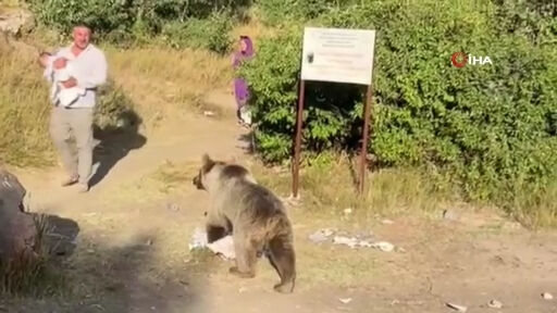 Bitlis'te korkunç olay! Kucağında bebeğiyle yürürken ayı saldırdı - 1. Resim