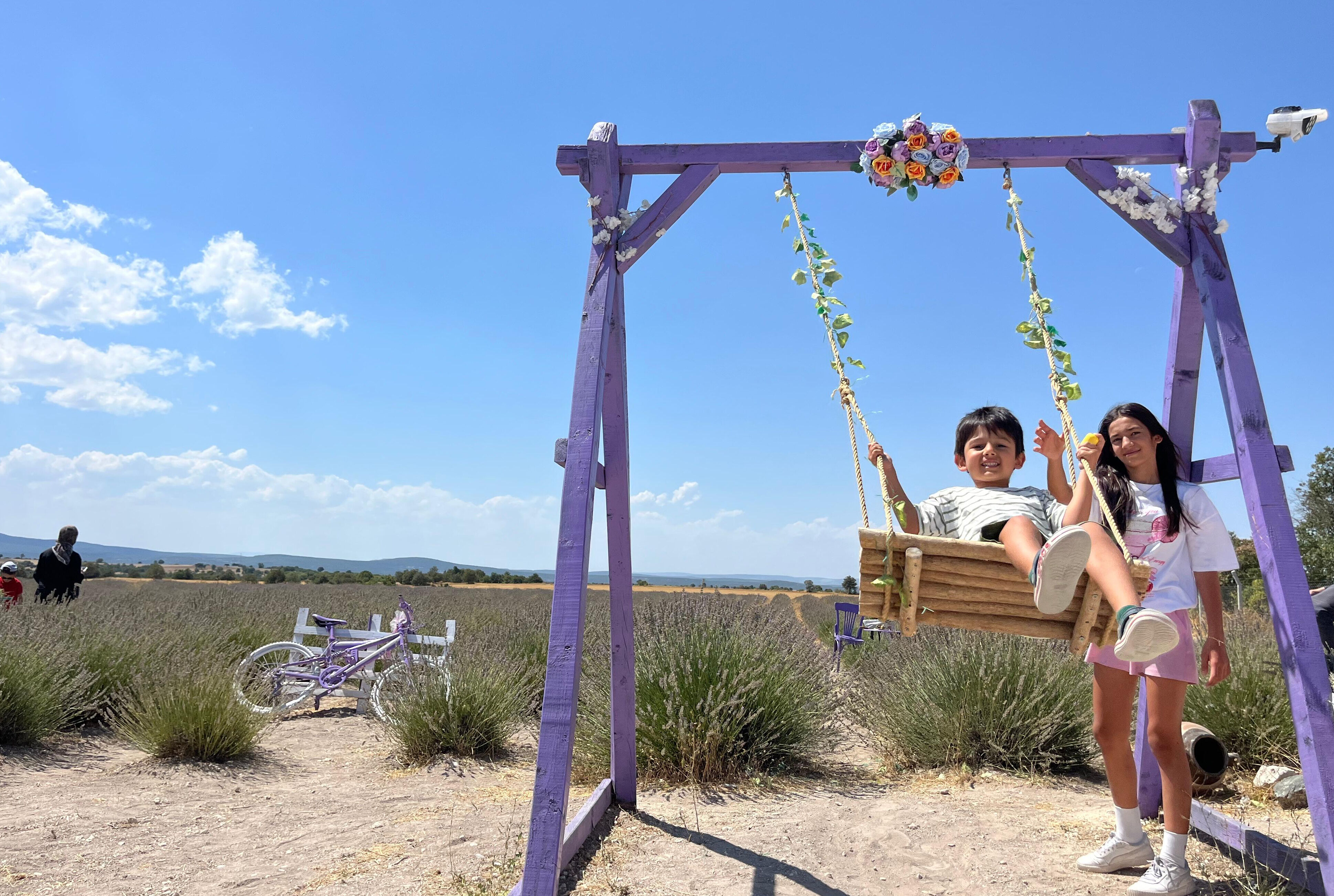 Bu hasatta işçi çalışmıyor! Makasını getiren tarlaya giriyor, 100 kilosundan 2 litre yağ çıkıyor - 1. Resim