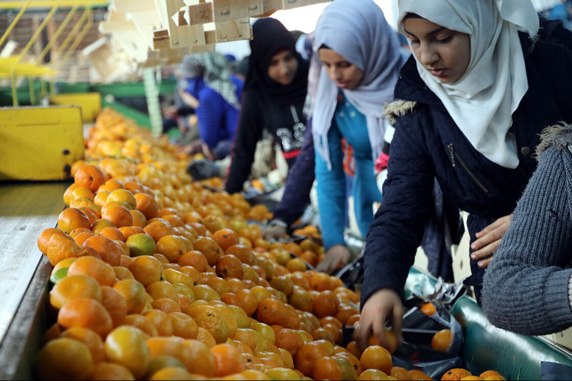 Fiyatlar bir anda düşecek...Marketlerde yeni dönem: Cumhur Reyonu geliyor! - 2. Resim