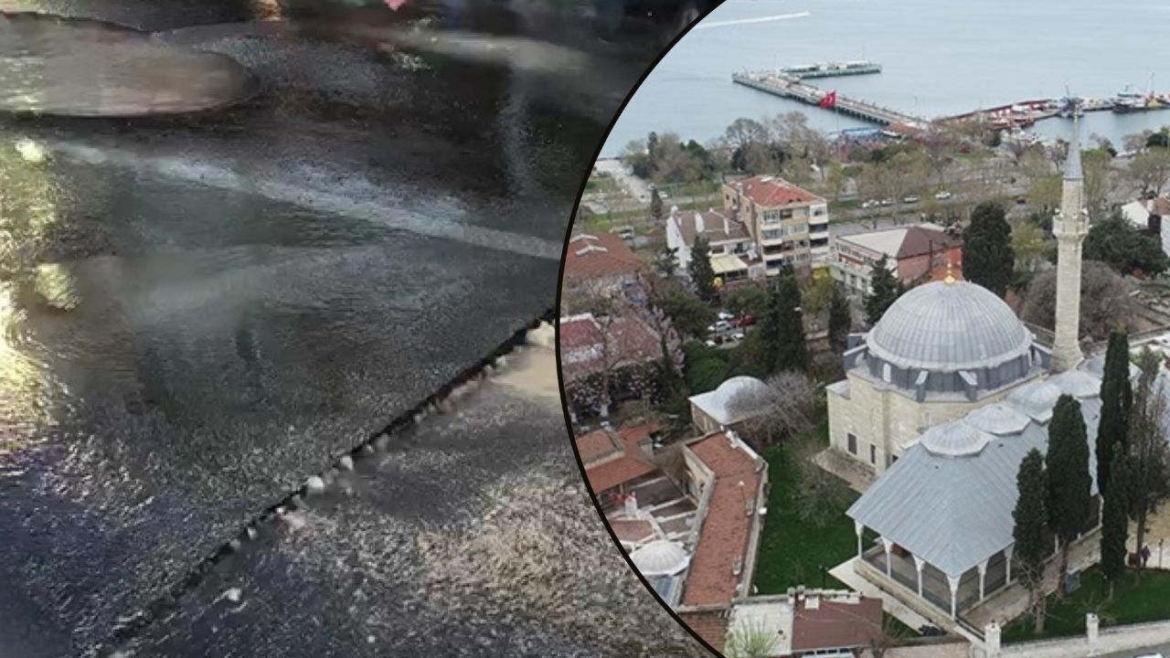 Yaşam