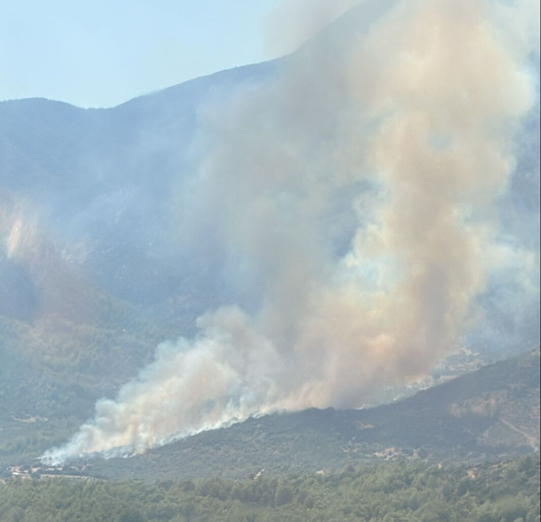 Muğla, Adana ve Bing&ouml;l'de orman yangını! Alevlerle karşı zamanla m&uuml;cadele - 2. Resim