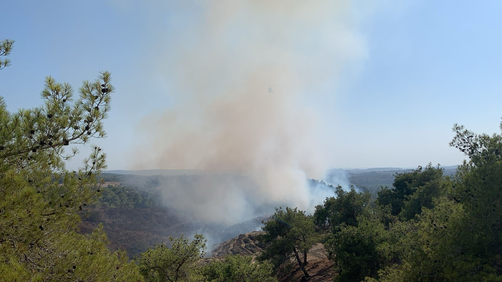 Muğla, Adana ve Bing&ouml;l'de orman yangını! Alevlerle karşı zamanla m&uuml;cadele - 6. Resim