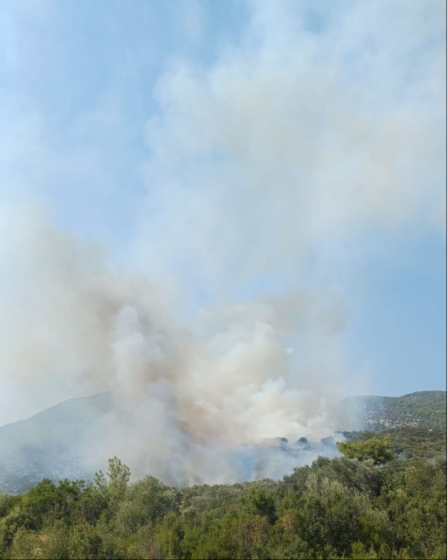 Muğla, Adana ve Bing&ouml;l'de orman yangını! Alevlerle karşı zamanla m&uuml;cadele - 3. Resim
