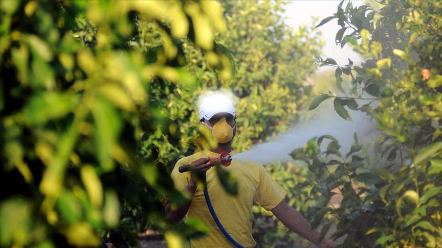 Sofraları zehirden arındıracak tarihi adım! 81 ilde uygulanacak, Bakan Yumaklı detayları anlattı - 2. Resim