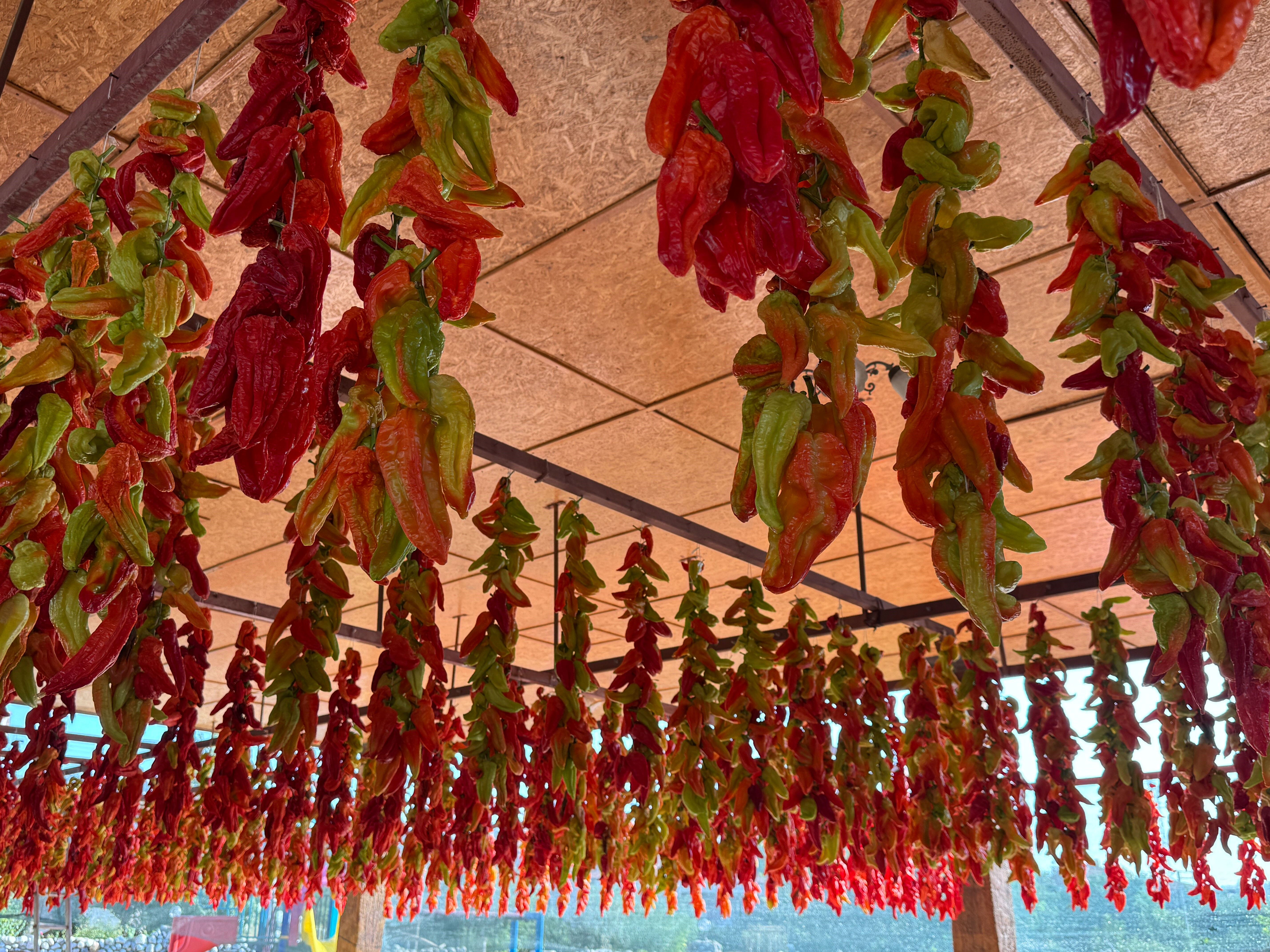 Tat ve aromasıyla damak çatlatıyor! Denizli'nin tescilli lezzetinin sofralara yolculuğu başladı - 1. Resim