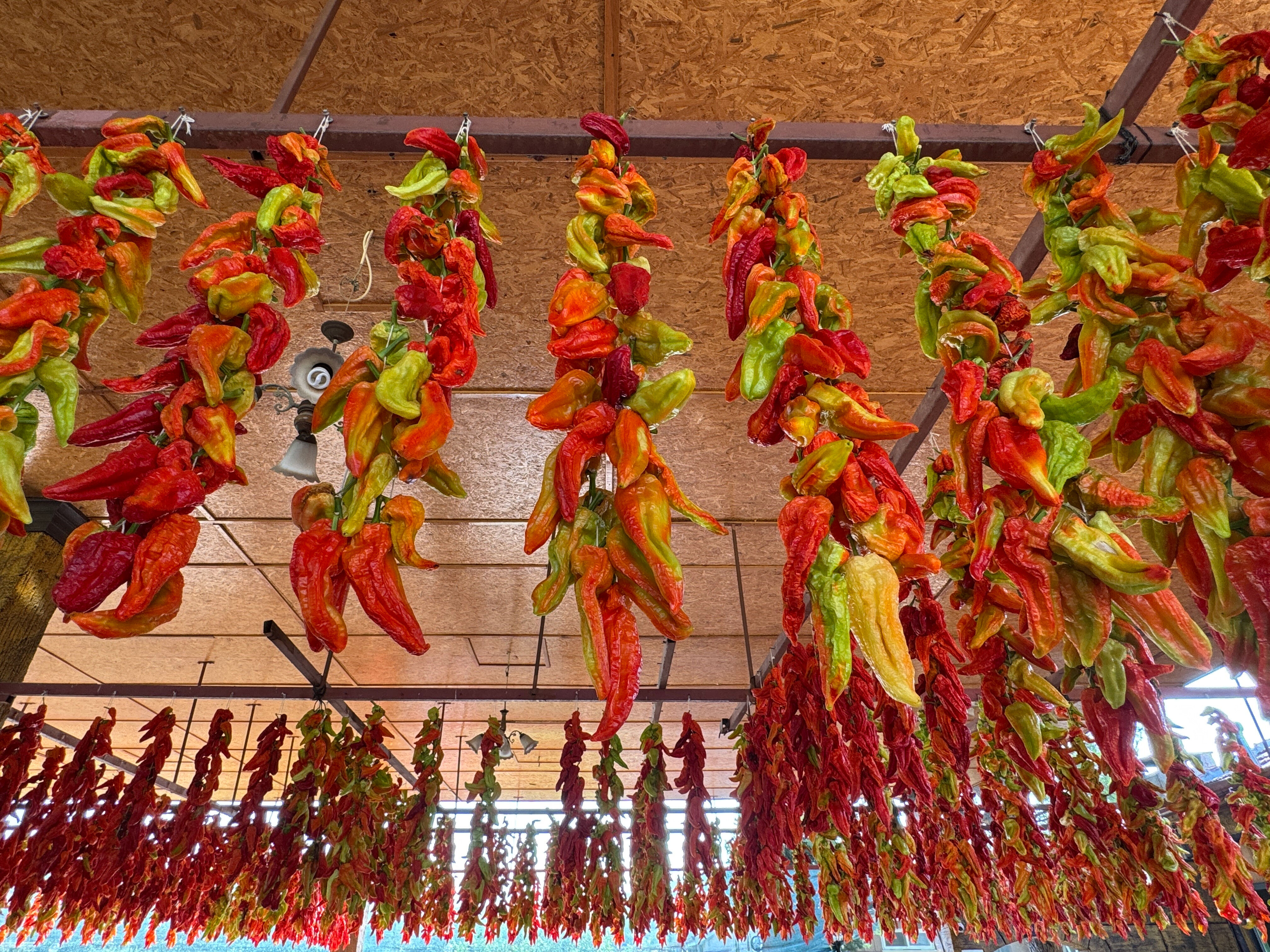 Tat ve aromasıyla damak çatlatıyor! Denizli'nin tescilli lezzetinin sofralara yolculuğu başladı - 4. Resim