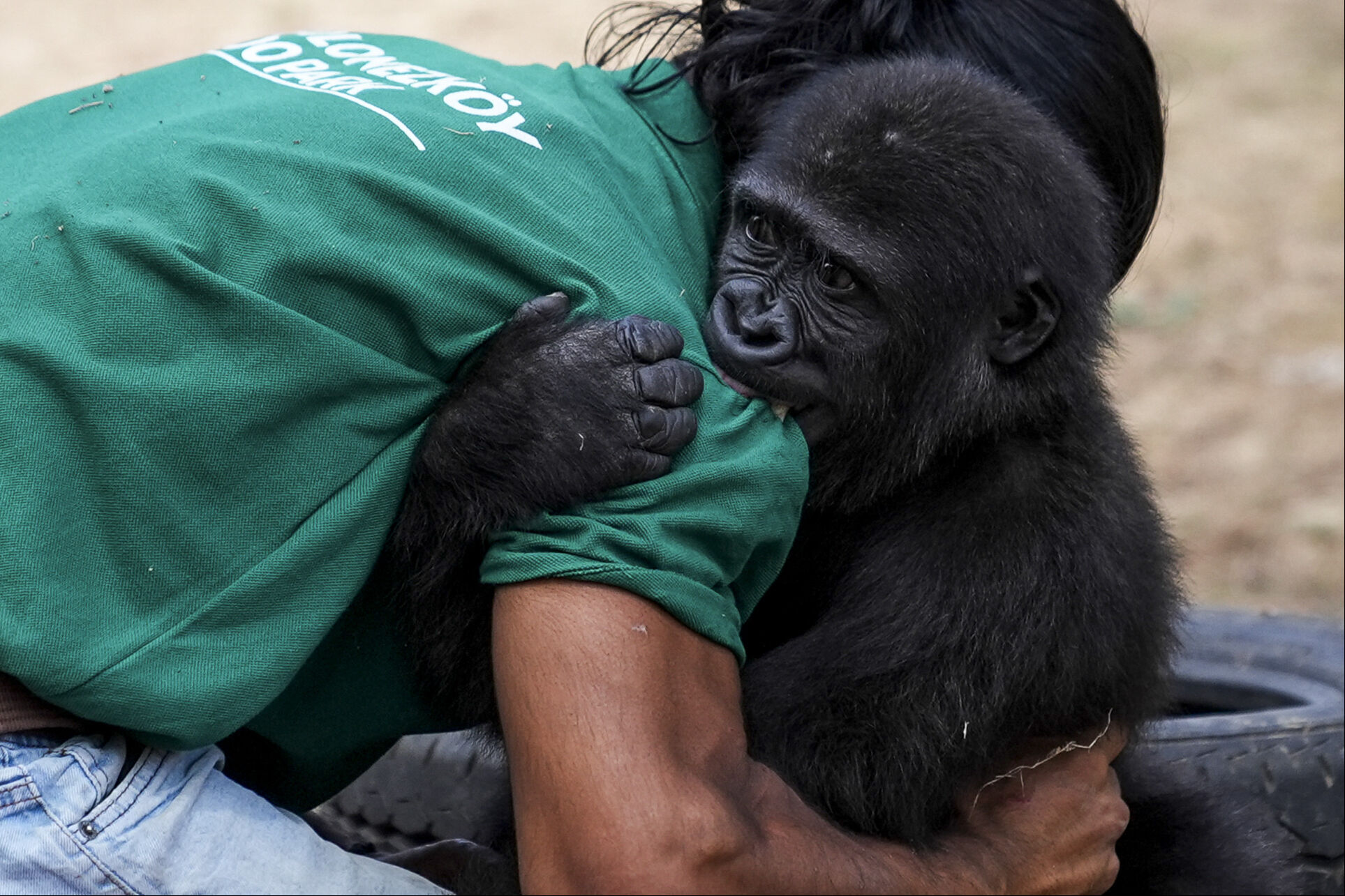 Tüm Türkiye ona isim aramıştı! Ve sürecin sonuna gelindi... 8 ay sonra evine dönüyor - 2. Resim