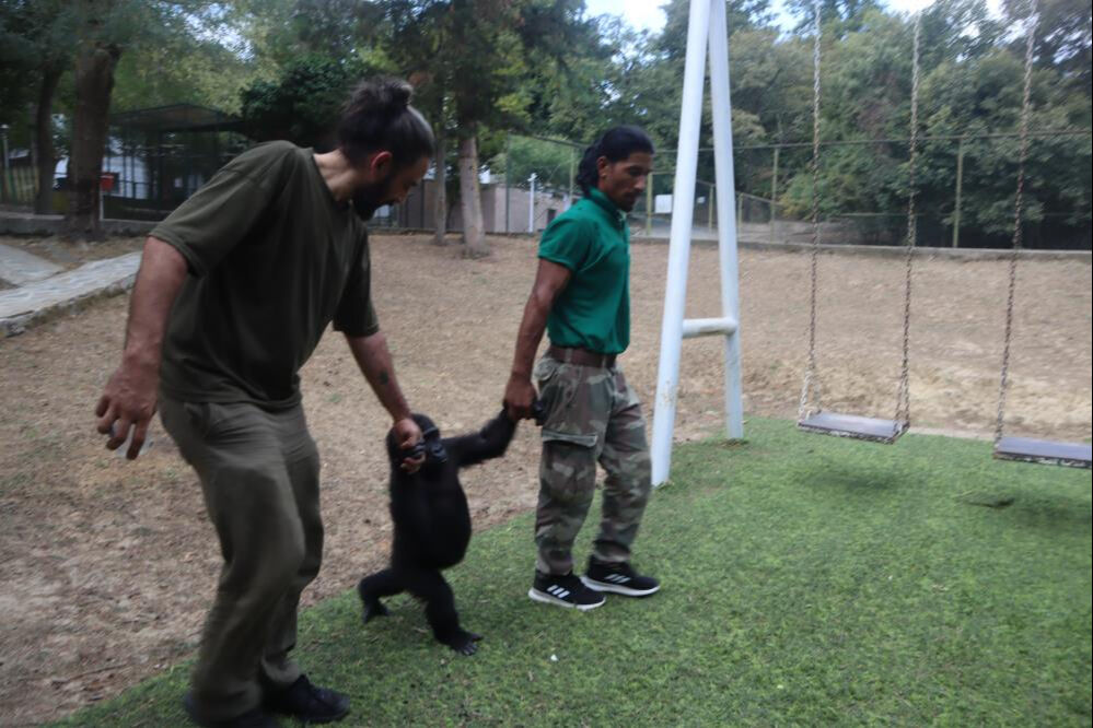Tüm Türkiye ona isim aramıştı! Ve sürecin sonuna gelindi... 8 ay sonra evine dönüyor - 4. Resim