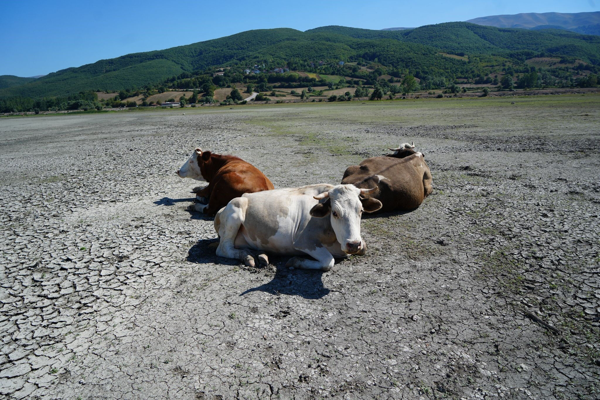 Türkiye'de felaket senaryosu... Durum vahim! Barajlar çatladı, milyonlar susuz kalacak - 15. Resim