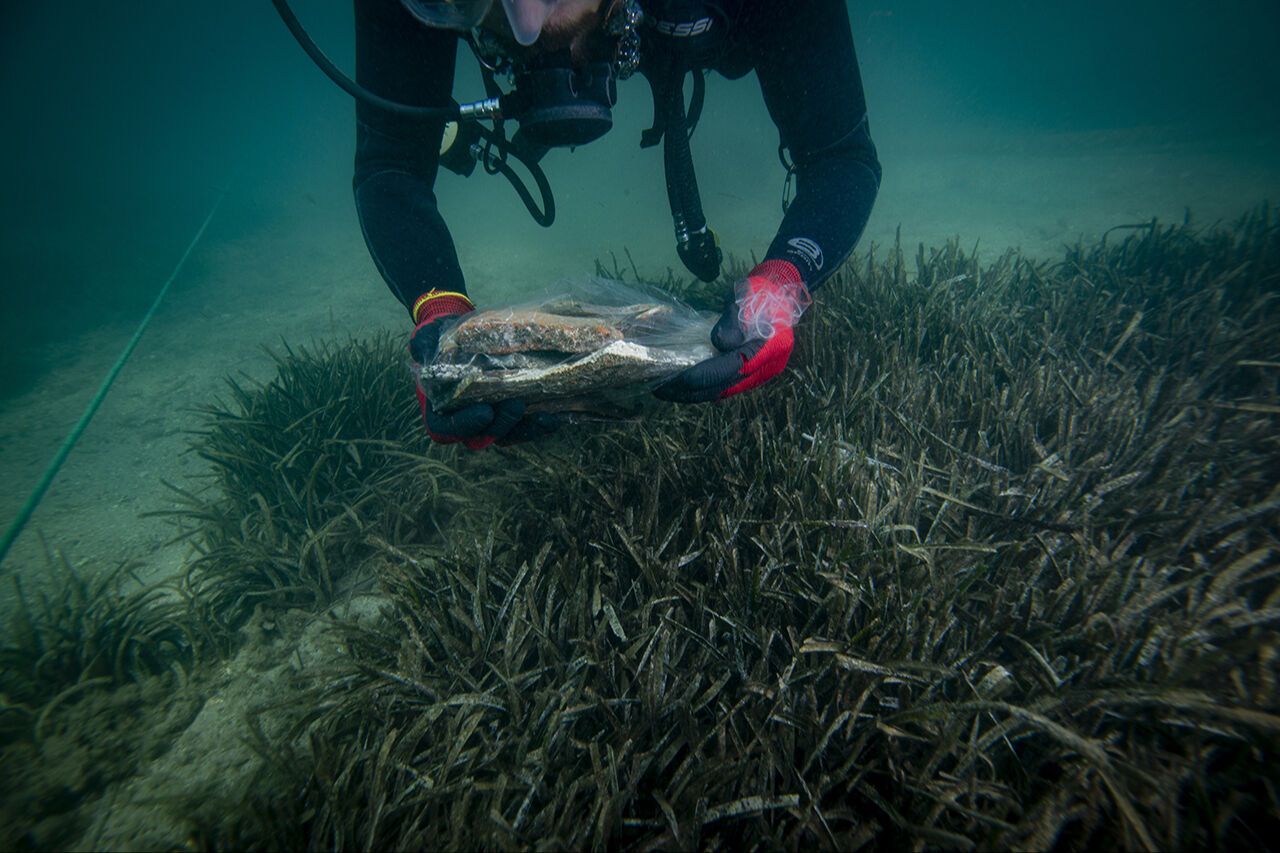 7 bin yıllık tarihe oksijen tüpleriyle daldılar! Tarihi limanda yeni keşifler karada başladı, denizde devam etti - 13. Resim