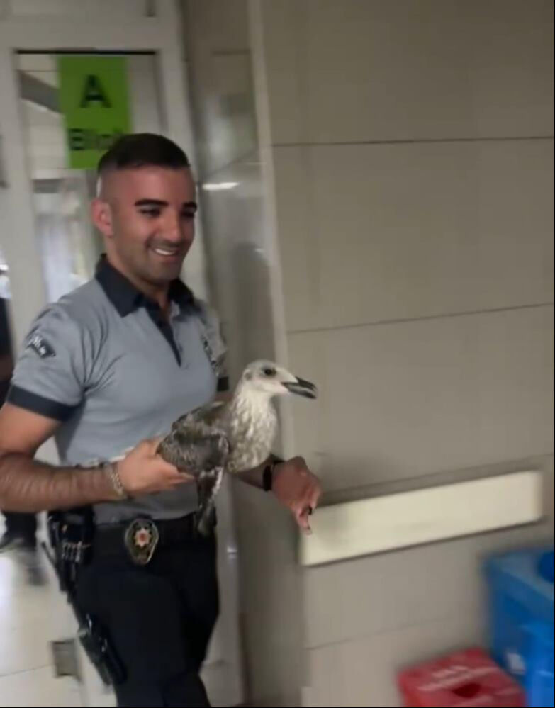 Bursa'da hastanede ilginç anlar! Acile uçarak girdi, ortalığı birbirine kattı - 2. Resim