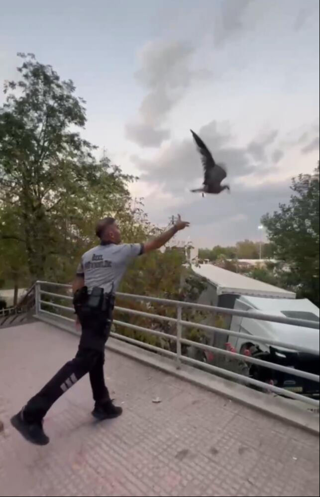 Bursa'da hastanede ilginç anlar! Acile uçarak girdi, ortalığı birbirine kattı - 3. Resim