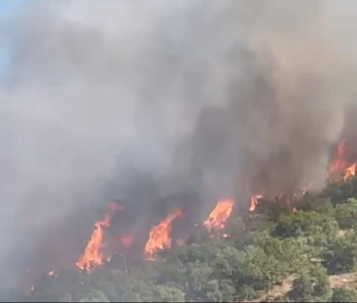 &Ccedil;anakkale, İzmir, Samsun, Muğla, Antalya, Malatya, Bursa, Hakkari... &Ccedil;ok sayıda kentte orman yangını - 2. Resim