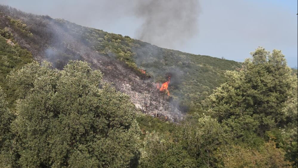 &Ccedil;anakkale, İzmir, Samsun, Muğla, Bursa, Hakkari... &Ccedil;ok sayıda kentte orman yangını - 8. Resim