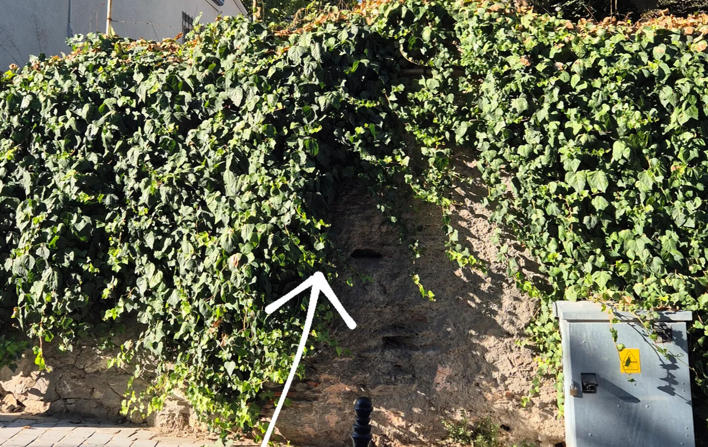 Herkes yanından geçiyor ama kimse bilmiyor! Mimar Sinan'ın Fatih'teki yadigarı perişan halde - 2. Resim