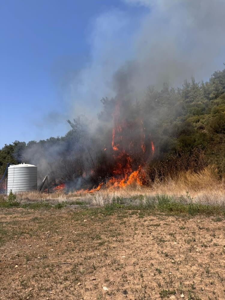 İzmir Menderes'te orman yangını söndürüldü mü? Havadan karadan müdahale var - 1. Resim