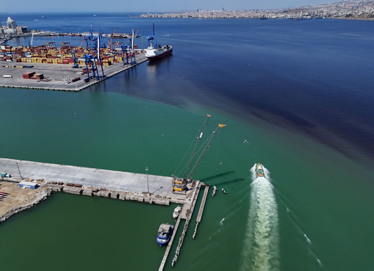 İzmir sahilinde korkutan manzara! Deniz kahverengiye döndü, ölü balıklar kıyıya vurdu - 4. Resim