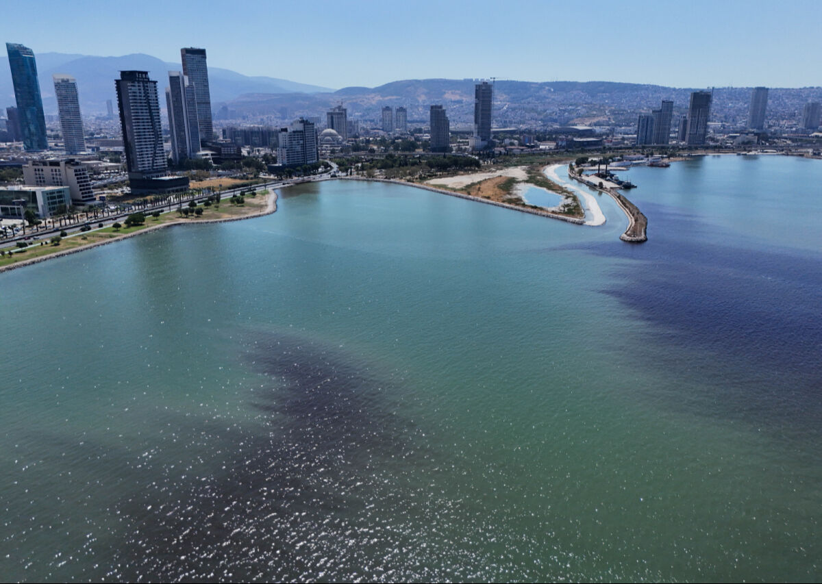 İzmir sahilinde korkutan manzara! Deniz kahverengiye döndü, ölü balıklar kıyıya vurdu - 1. Resim