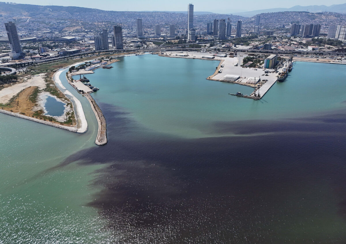 İzmir sahilinde korkutan manzara! Deniz kahverengiye döndü, ölü balıklar kıyıya vurdu - 2. Resim