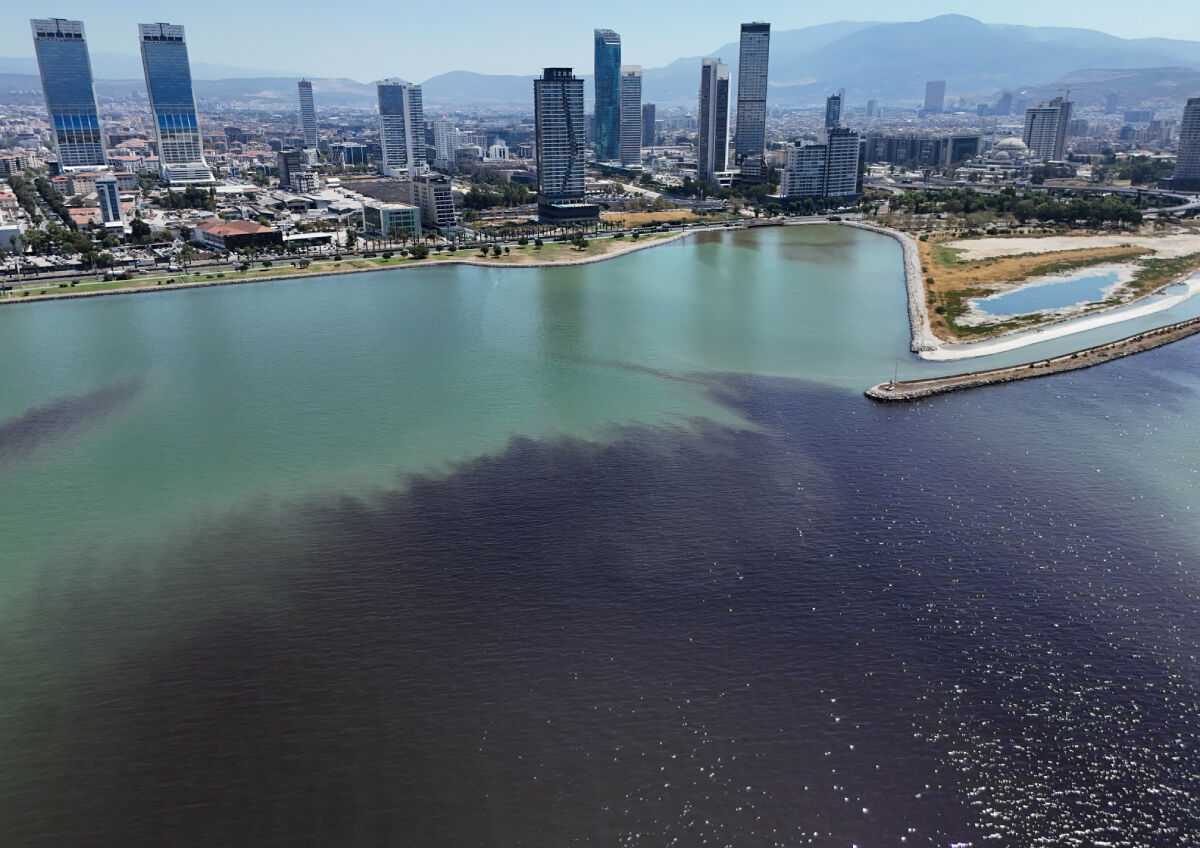İzmir sahilinde korkutan manzara! Deniz kahverengiye döndü, ölü balıklar kıyıya vurdu - 3. Resim