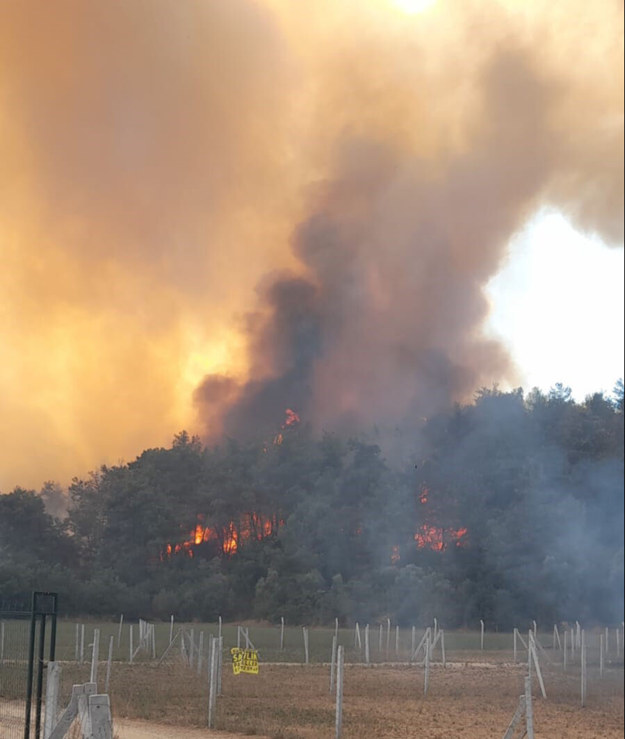 İzmir yanıyor! Menderes'teki orman yangınına 8 u&ccedil;ak, 9 helikopterle m&uuml;dahale ediliyor - 1. Resim