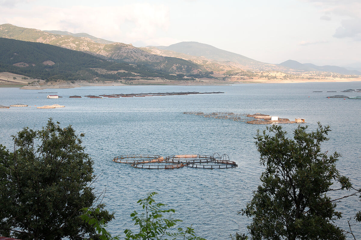 Japon suşisinde Tokat somonu! Kimse farkında değil, Japonlar da Norve&ccedil;liler de balığı buradan alıyor - 3. Resim