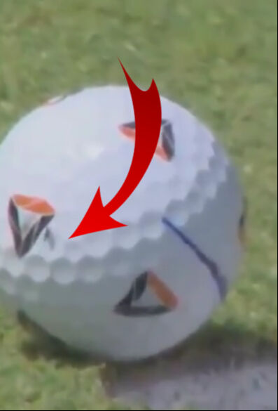 Kimse beklemiyordu! Sinek dokundu, milyonların sahibi oldu - 3. Resim