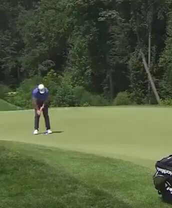 Kimse beklemiyordu! Sinek dokundu, milyonların sahibi oldu - 2. Resim