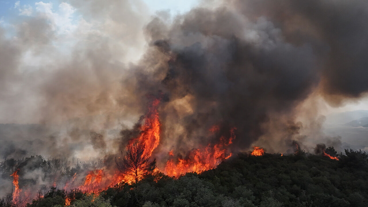 Yanan ciğerlerimiz için harekete geçildi! Ormanlarımız için büyük servet harcandı - 1. Resim