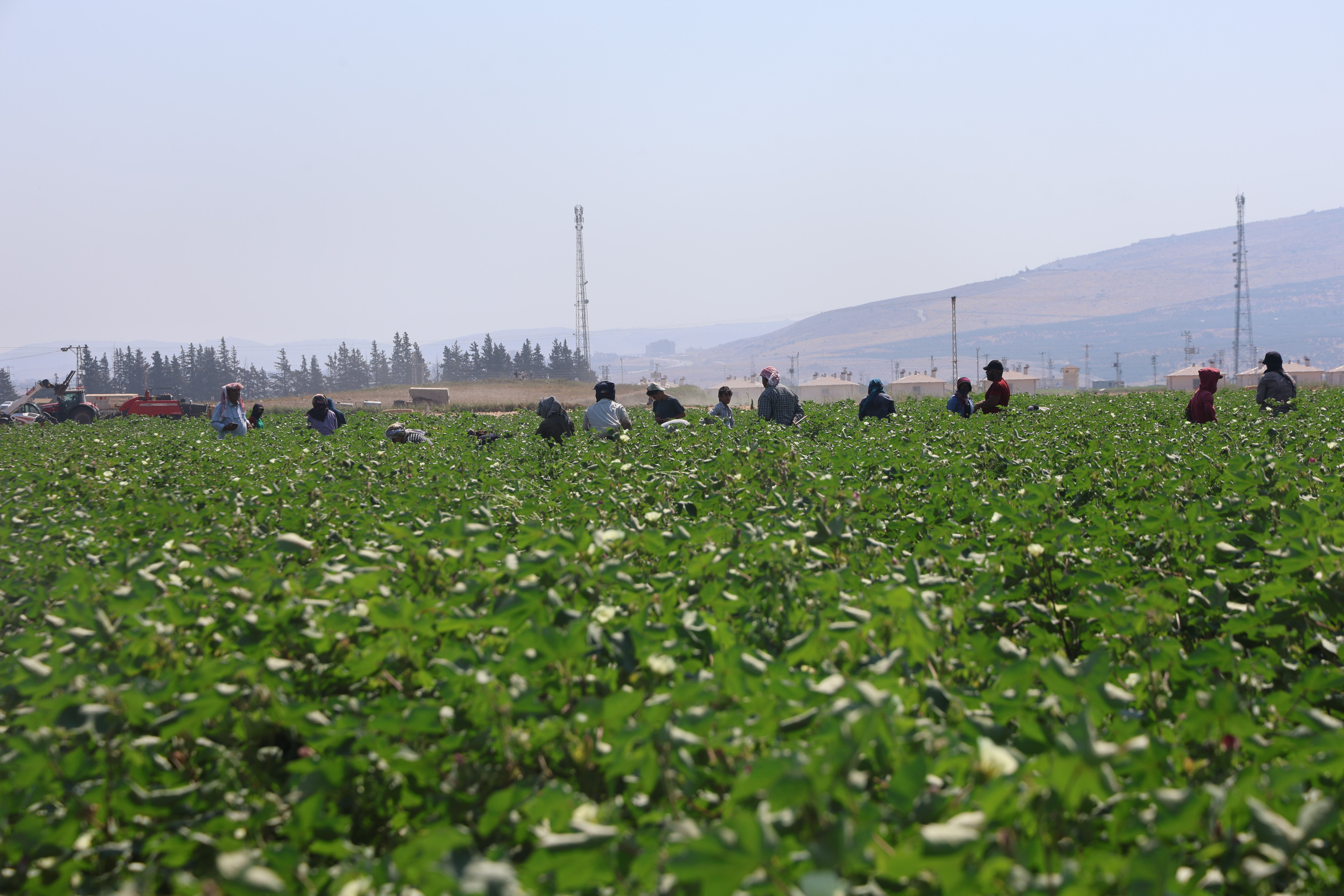 45 derece sıcaklıkta &ccedil;alışıp g&uuml;nl&uuml;k 650 TL kazanıyorlar: Serinlemek i&ccedil;in sadece soğuk su i&ccedil;iyoruz - 2. Resim
