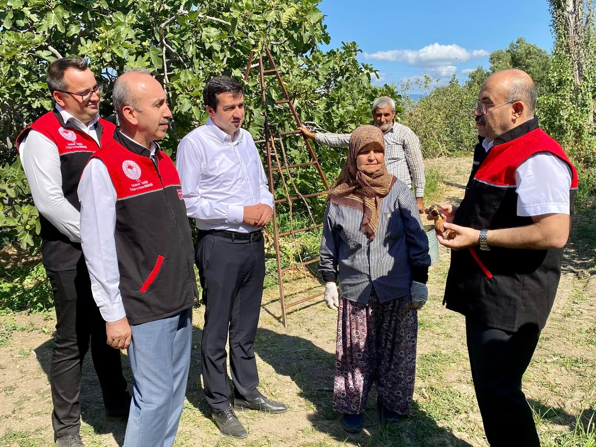 Aroması hayran bırakıyor! Havran siyahında hasat başladı, 680 ton verim bekleniyor - 2. Resim